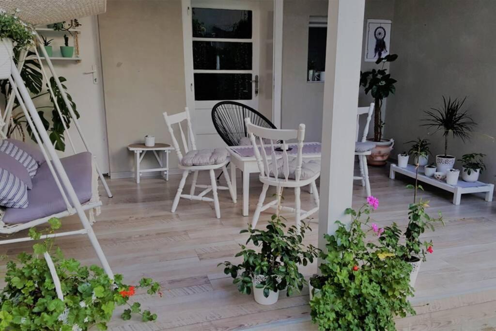 Cozy apartment in Kikinda Zewnętrze zdjęcie