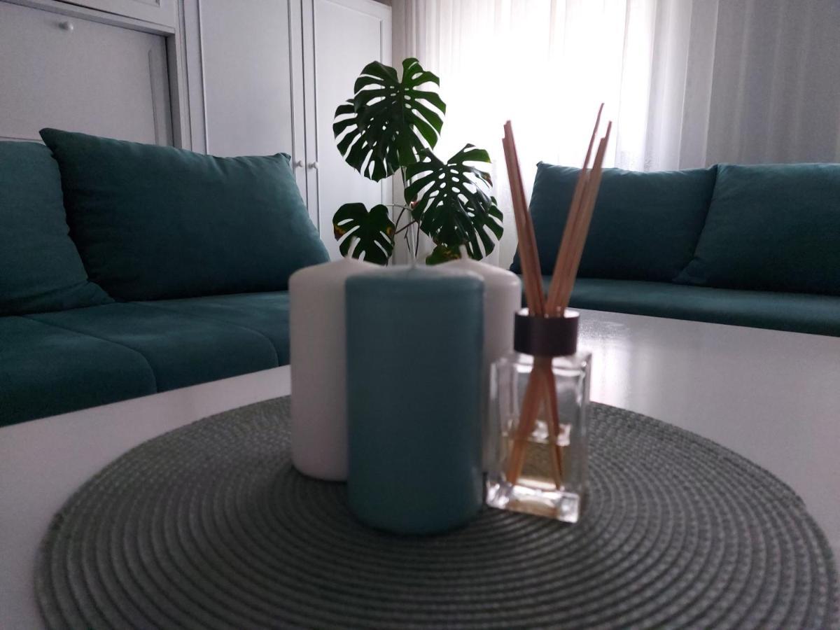 Cozy apartment in Kikinda Zewnętrze zdjęcie