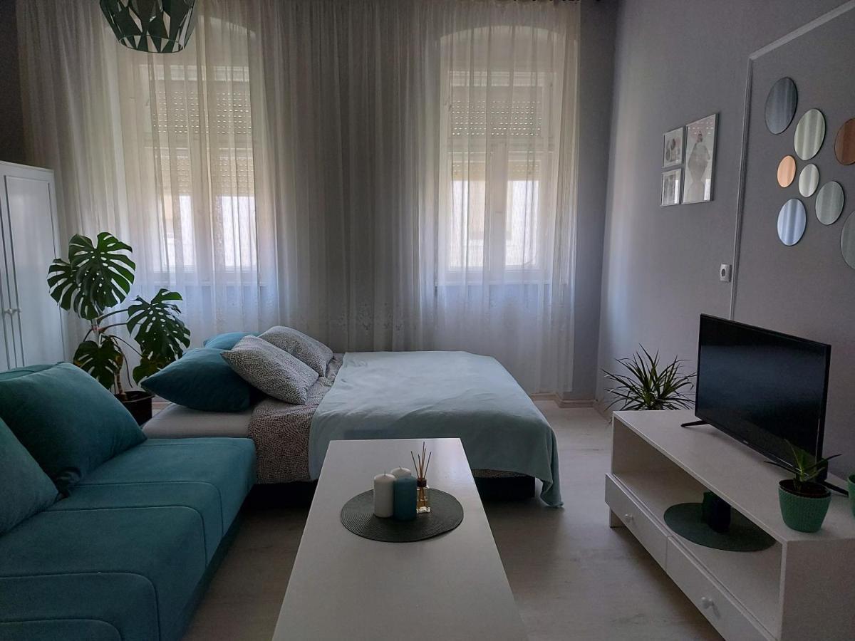 Cozy apartment in Kikinda Zewnętrze zdjęcie